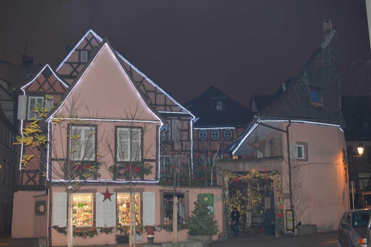CHEZ MYRIAM Bed&Breakfast chez le VIGNERON Colmar Extérieur photo