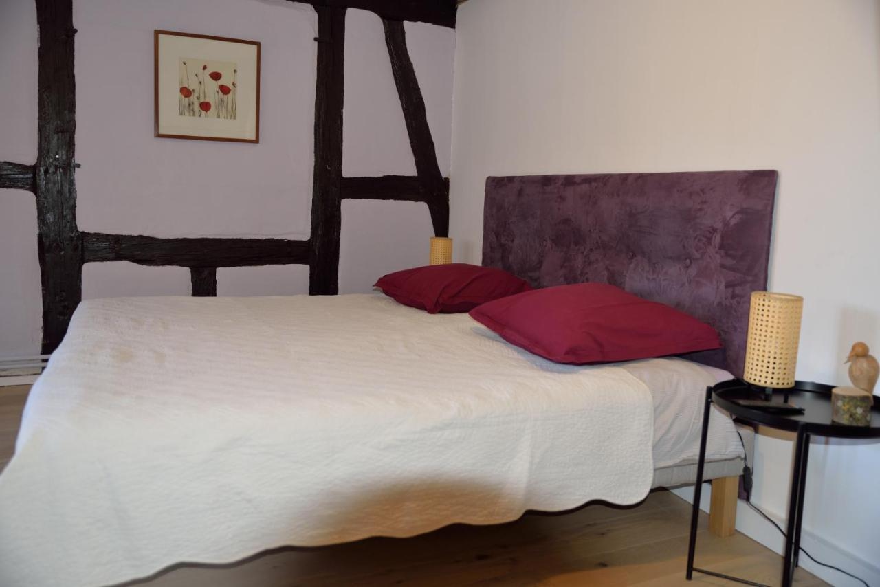 CHEZ MYRIAM Bed&Breakfast chez le VIGNERON Colmar Extérieur photo